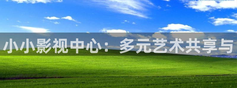 深夜宅男视频在线：小小影视中心：多元艺术共享与
