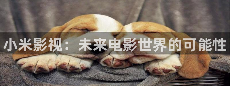 精品宅男视频：小米影视：未来电影世界的可能性