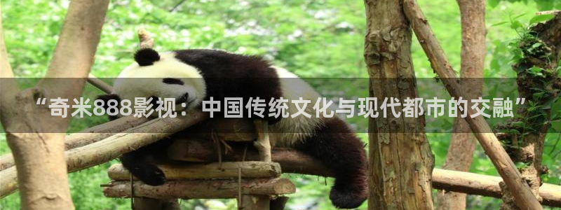 宅男视频网址：“奇米888影视：中国传统文化与现代都市的交融”