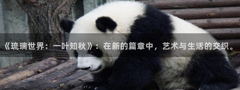 国产宅男视频在线播放：《琉璃世界：一叶知秋》：在新的篇章中，艺术与生活的交织。