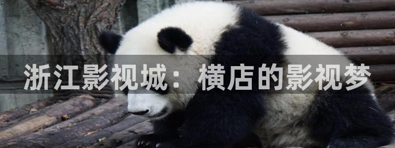 精品宅男视频：浙江影视城：横店的影视梦