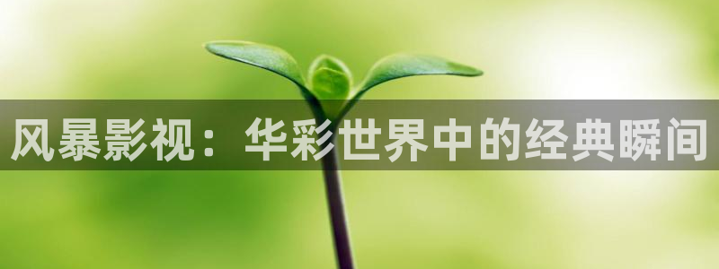 宅男视频在线网站：风暴影视：华彩世界中的经典瞬间