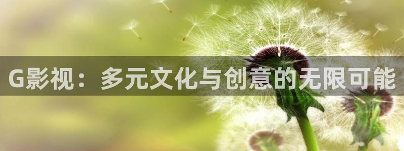 宅男视频一区二区：G影视：多元文化与创意的无限可能