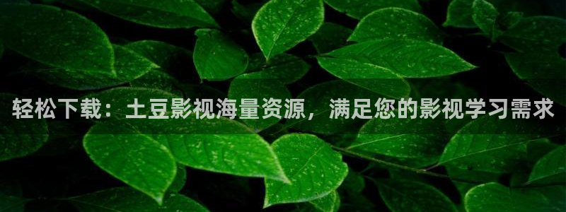 深夜宅男视频福利：轻松下载：土豆影视海量资源，满足您的影视学习需求