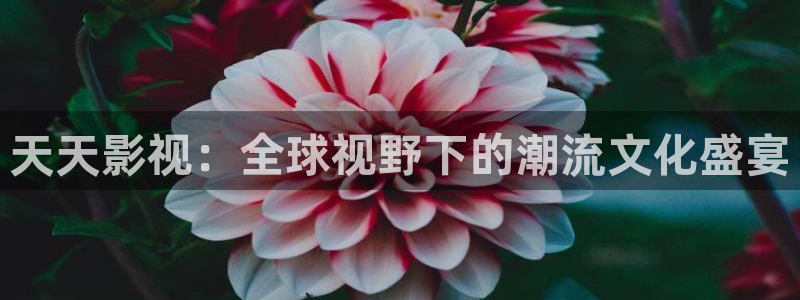 宅男视频在线污：天天影视：全球视野下的潮流文化盛宴