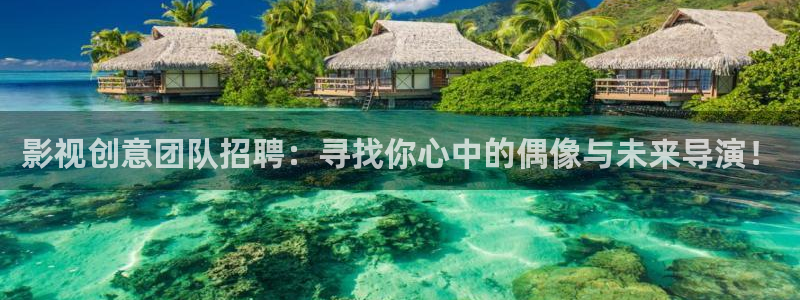午夜宅男视频免费：影视创意团队招聘：寻找你心中的偶像与未来导演！
