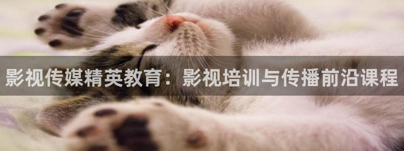 宅男视频黄色：影视传媒精英教育：影视培训与传播前沿课程