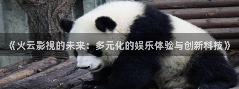 宅男视频5.3.6版本：《火云影视的未来：多元化的娱乐体验与创新科技》