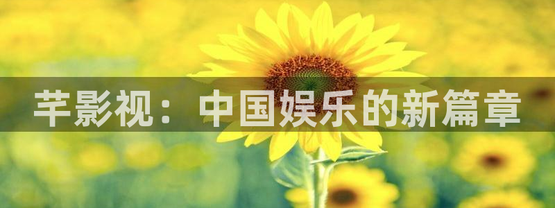 宅男视频在线观看视频：芊影视：中国娱乐的新篇章