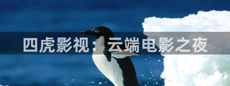 宅男视频播放器：四虎影视：云端电影之夜