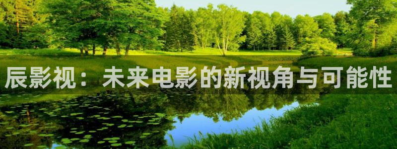 宅男视频黄色：辰影视：未来电影的新视角与可能性