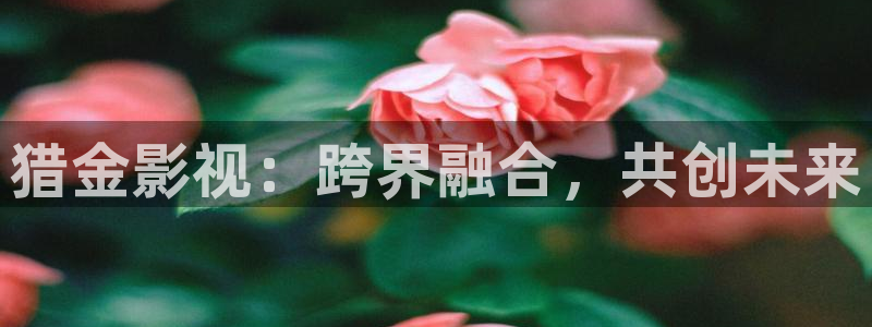 国产羞羞宅男视频：猎金影视：跨界融合，共创未来