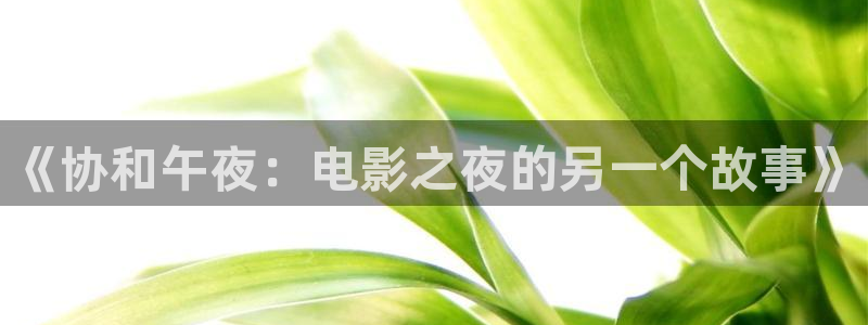 97宅男视频：《协和午夜：电影之夜的另一个故事》
